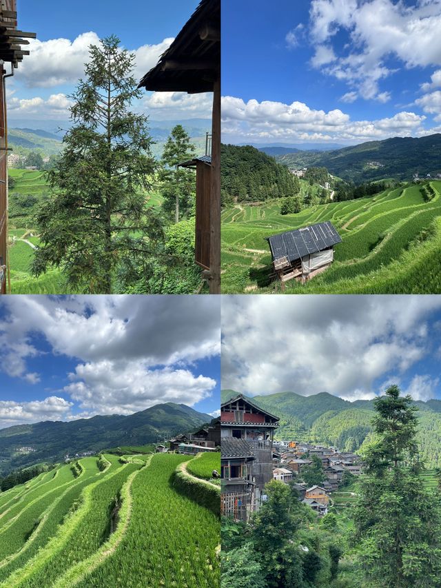 侗族生態博物館-堂安侗寨梯田