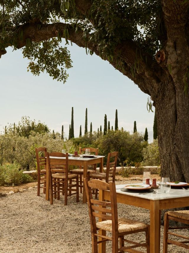 🌟 Greek Elegance & Sea Views: Amanzoe's Top Perks 🌊