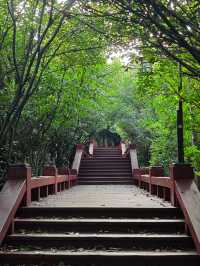 夏日反向旅行·蚌埠｜在張公山公園看城市標誌性建築