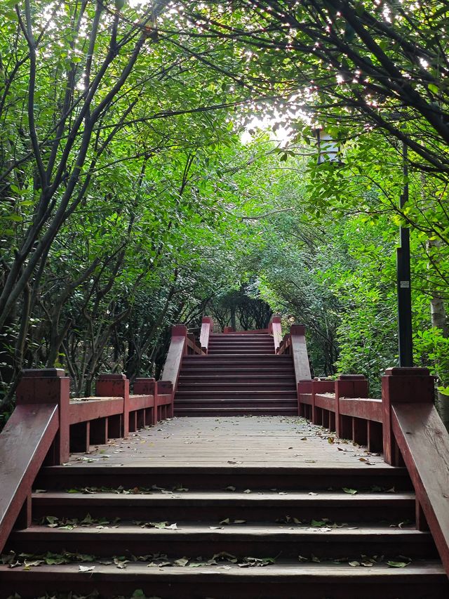 夏日反向旅行·蚌埠｜在張公山公園看城市標誌性建築