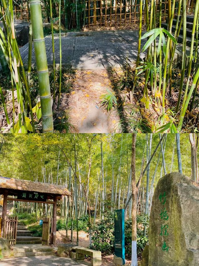 聊城！驗越王山飛拉達