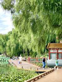 Citywalk 朴野自然 風景優美 西海濕地公園