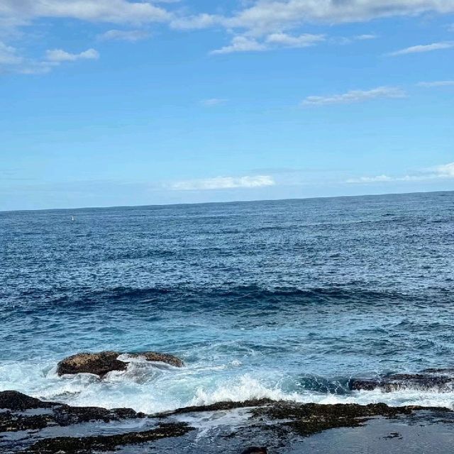 【悉尼】Bondi Beach：無敵美景，享受沿海跑步的幸福！
