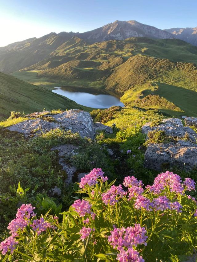 不用遠赴阿勒泰,就來九頂山吧。
