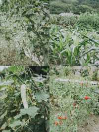 安徽｜下次仲住呢度 小朋友一定拒絕唔到。