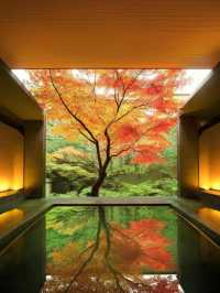 箱根最美溫泉住宿，紅葉季去會幸福到天花板。