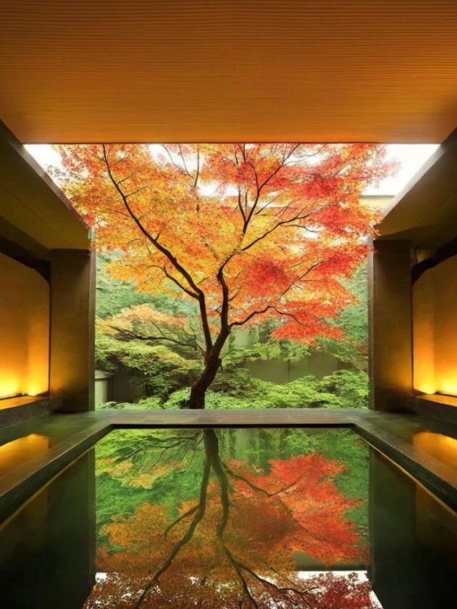 箱根最美溫泉住宿，紅葉季去會幸福到天花板。