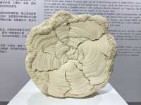 中國國際工藝創新博覽會，傳統工藝的現代表達。