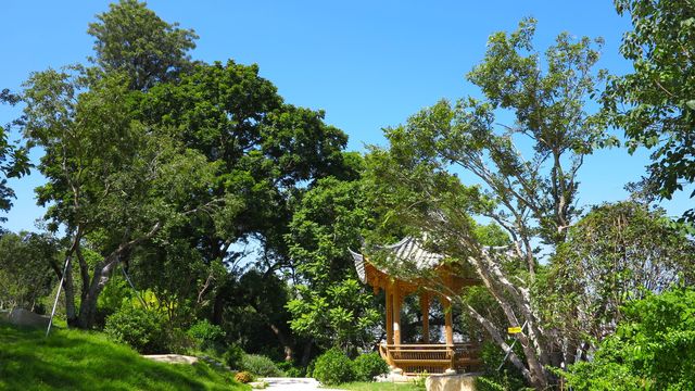 烏山公園石林景區。