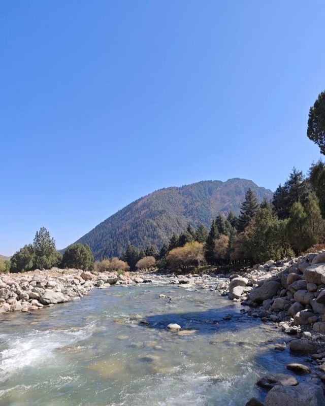 祁連山冰溝河景區。