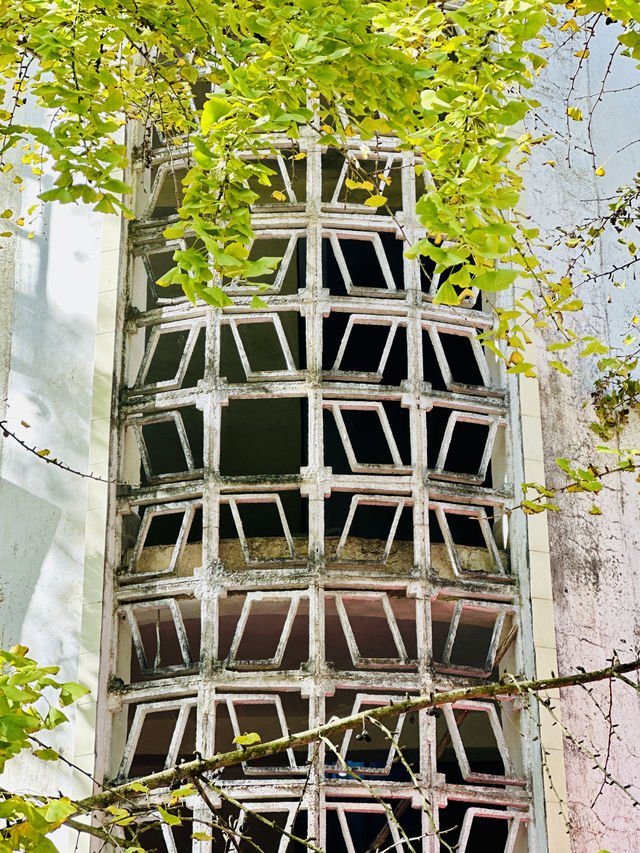 週末好去處：南雄帽子峰。