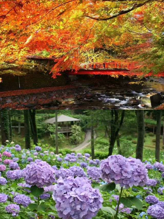 湯迴廊菊屋旅館：邂逅寧靜，留存溫暖，編織難忘的美好回憶。