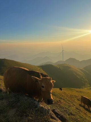 《廣西小眾露營地——北流四勝頂，邂逅自然之美》。