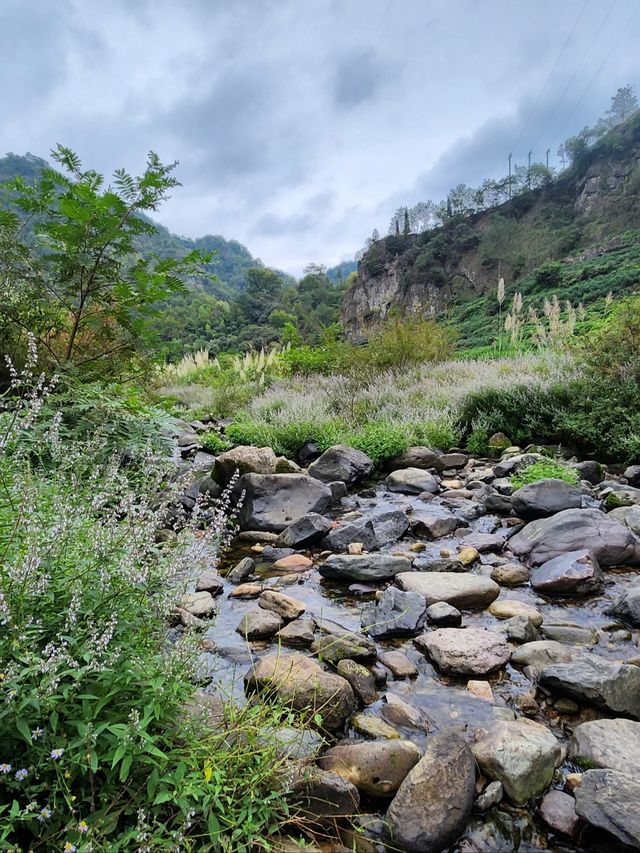 即將消失的行山路線——安山古道。