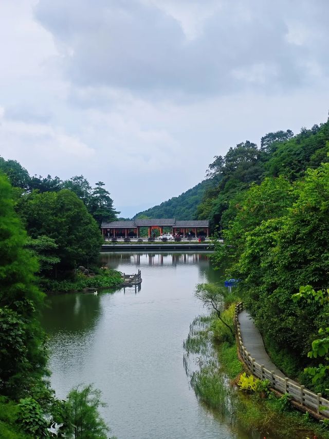 比起白雲山，我更喜歡廣州這個「小瑞士」森林公園。