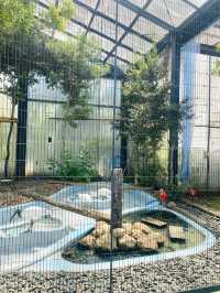 日本°東京ㅣ親子免費近郊好去處ㅣ江戶川區自然動物園。