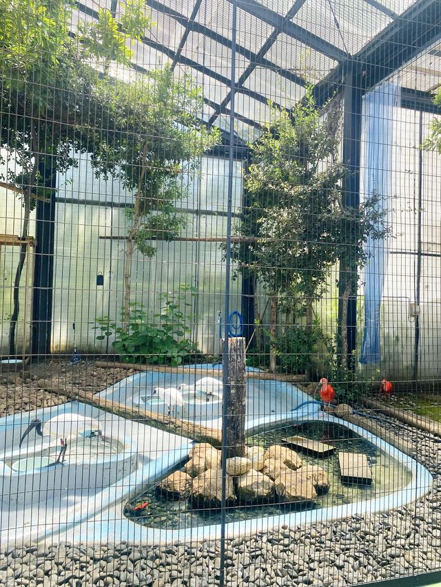 日本°東京ㅣ親子免費近郊好去處ㅣ江戶川區自然動物園。
