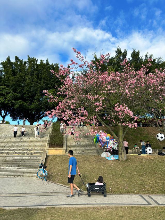 假期遛娃好去處｜在花海下的浪漫露營地。