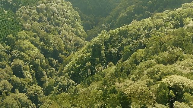 大覺山。
