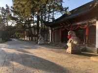 上海大觀園。