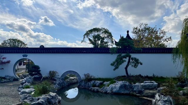 遊上海：濱江森林公園二期。