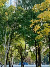 魔都新公園——半馬蘇河公園。
