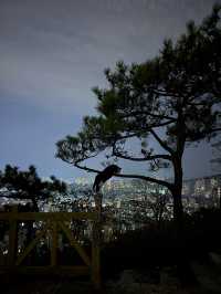 富國公園｜大連獨有的月光浪漫記憶！