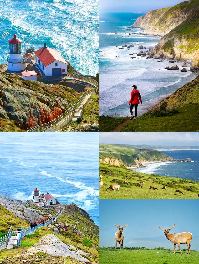 離開三藩市前一定要去一次！
離開三藩市前，絕對不能錯過Point Reyes！