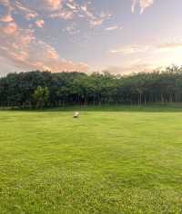 大運自然公園|我要曝光這個寶藏公園