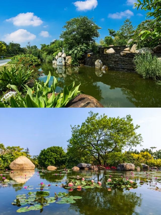 廈門/親子酒店