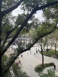 深圳龍華公園又對外開放啦！