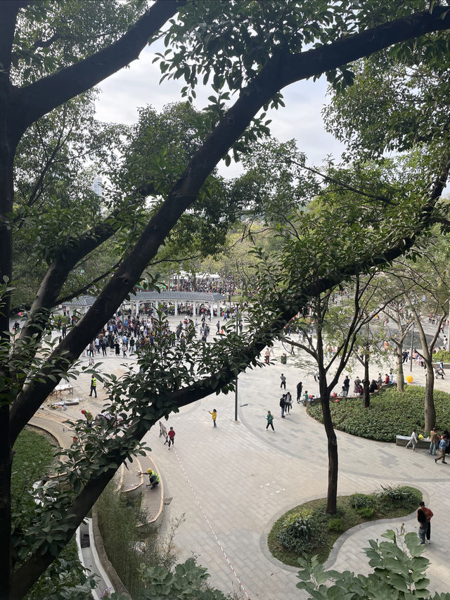 深圳龍華公園又對外開放啦！