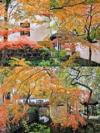 狼山北麓園秋日旅遊攻略：邂逅南通的詩意秋色