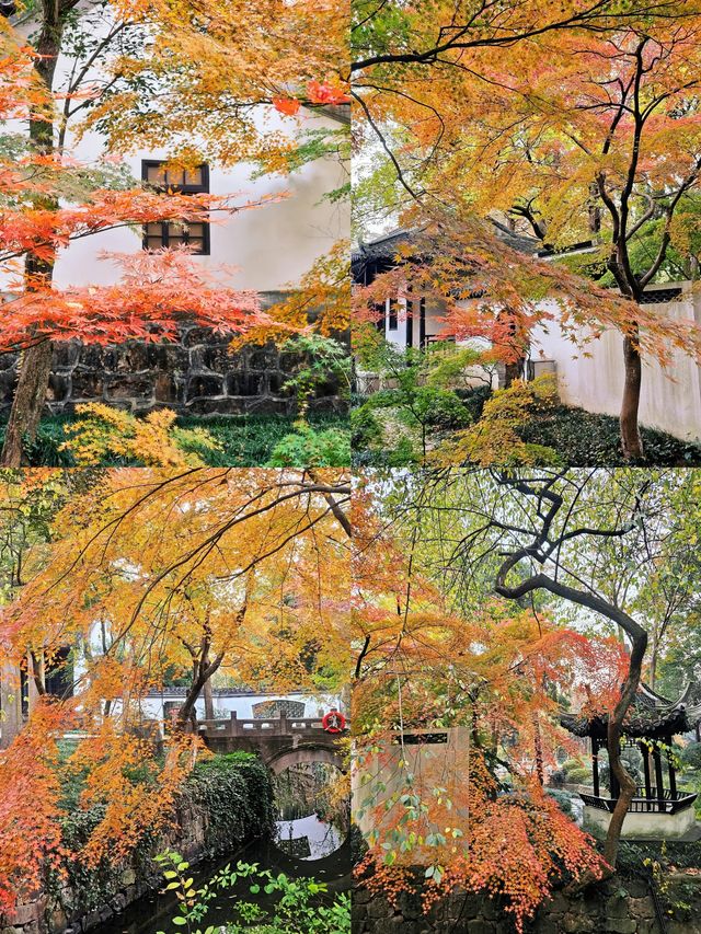 狼山北麓園秋日旅遊攻略：邂逅南通的詩意秋色