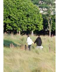 紅花山公園｜不出片可能是缺個攝影師。