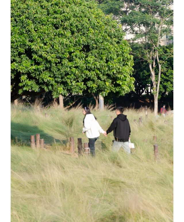 紅花山公園｜不出片可能是缺個攝影師。