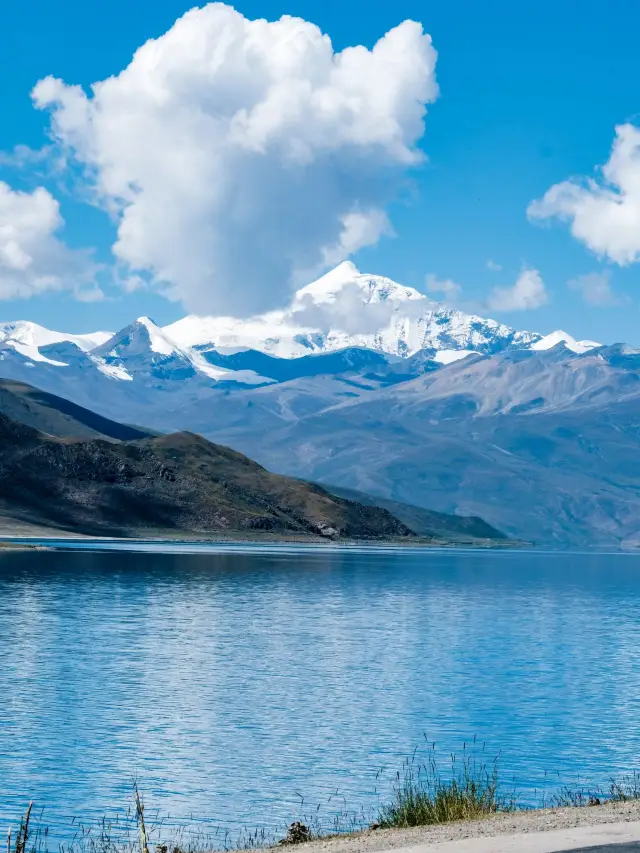 12-Day Tibet Ali & Mount Kailash Tour: Detailed Guide to Help You Have a Blast