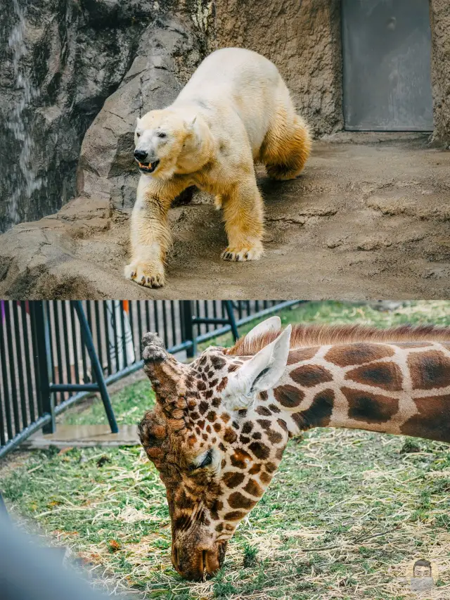 6-Day Japan Itinerary | Winter Edition