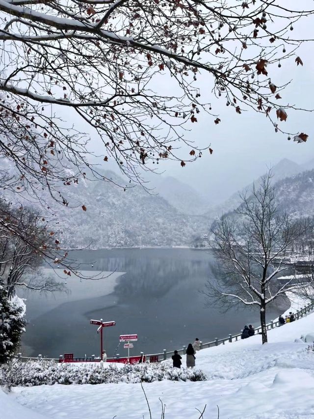 這價格令我震驚 這價格令我震驚