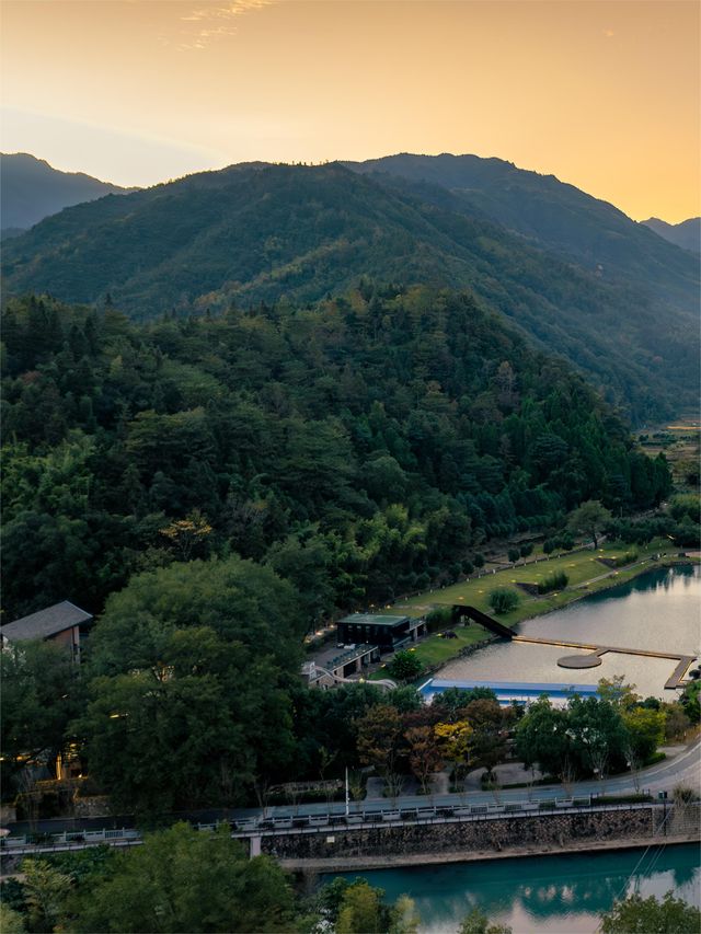溫州山間中式茶，開啟冬日儀式感 | 泉玥