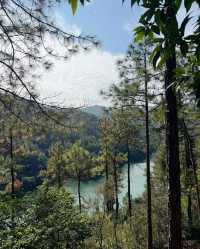 挑戰仙蹤龍園，暢享登山之趣
