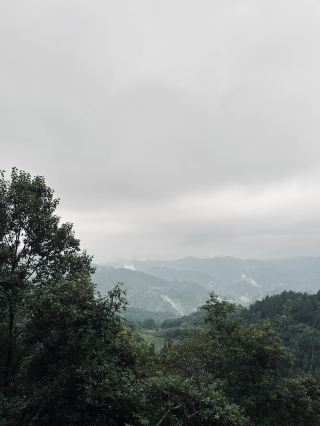 藏於森林中的度假酒店雲錄野奢民宿