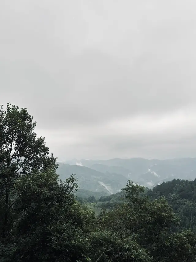 숲속에 숨겨진 휴양 호텔 윈루 럭셔리 민박