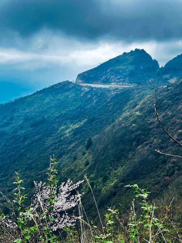 小長假去長江三峡-重慶 這樣玩才過癮