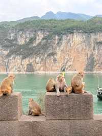 5日暢遊長江三峡-三峡大壩-重慶 超詳細攻略來啦