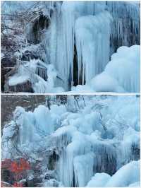 冬季賞雪 |  老界嶺雪景、冰掛攻略，必打卡