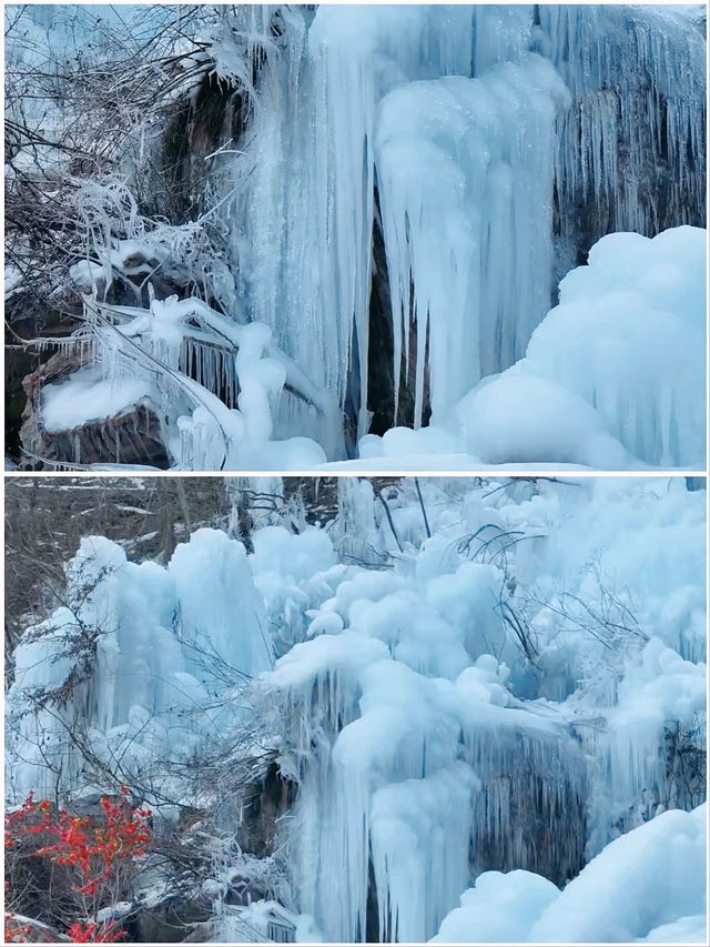 冬季賞雪 |  老界嶺雪景、冰掛攻略，必打卡