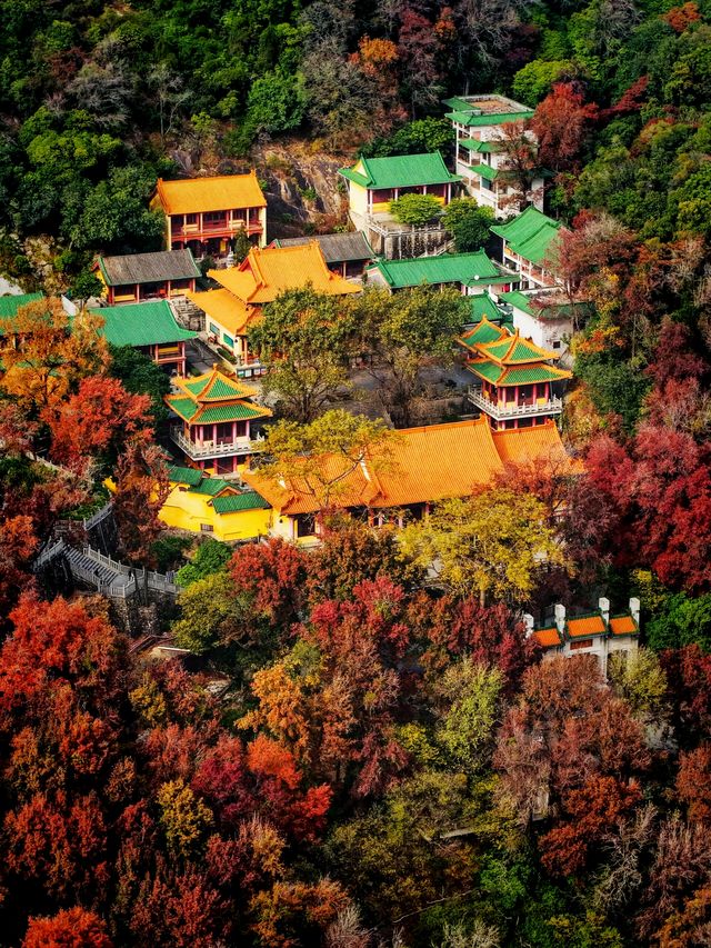 廣州周邊遊