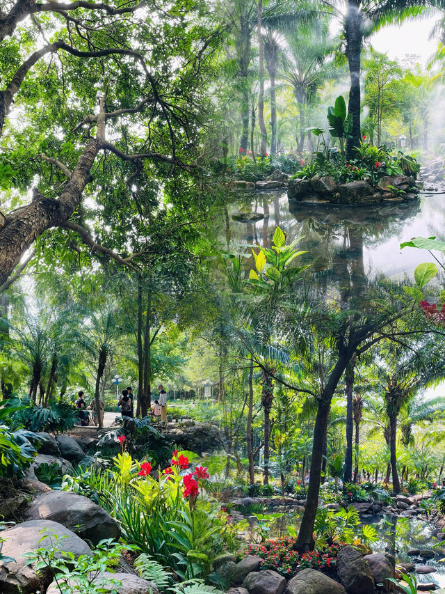 邂逅龍崗龍潭公園，盡享唯美時光