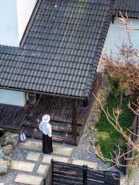 真係唔使出國，我喺安吉竹海住到人生民宿